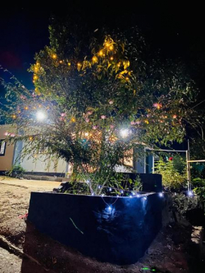 Misty Moon Home stay